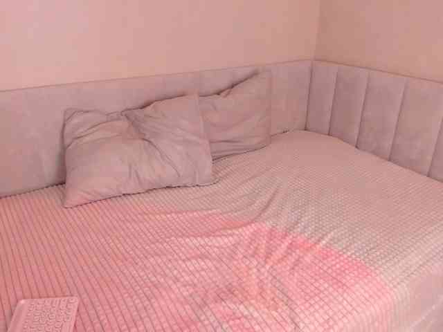 Black-Dollar webcam