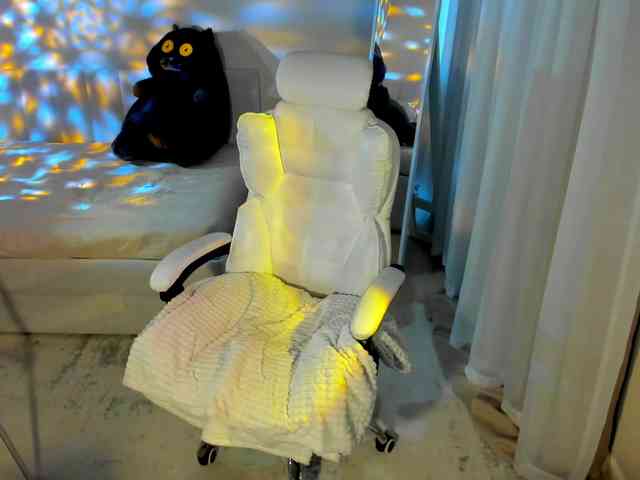 Black-Dollar webcam