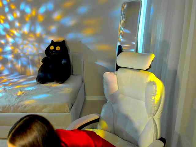 Black-Dollar webcam