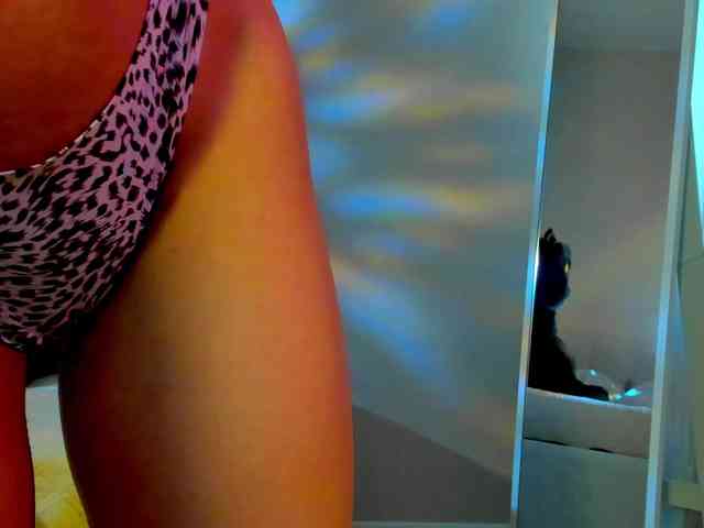 Black-Dollar webcam