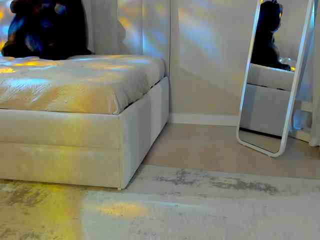 Black-Dollar webcam