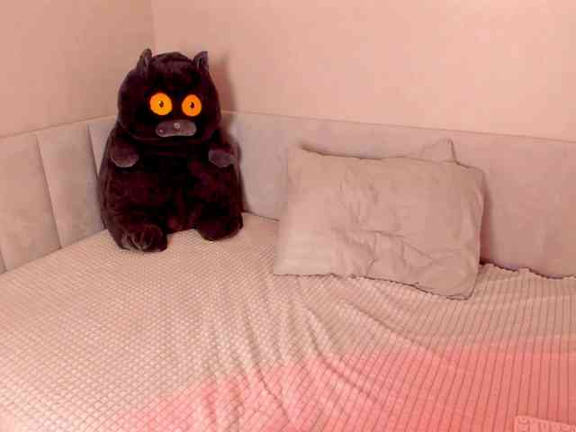 Black-Dollar webcam