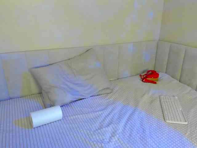 Black-Dollar webcam