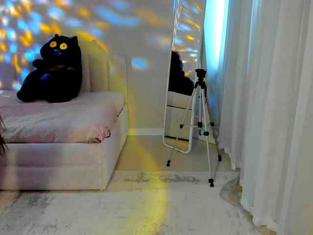 Black-Dollar webcam