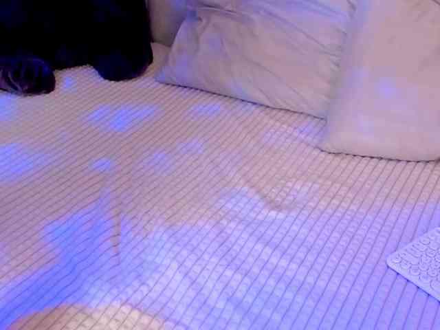 Black-Dollar webcam