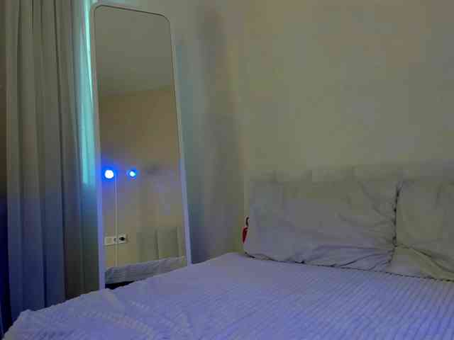 Black-Dollar webcam