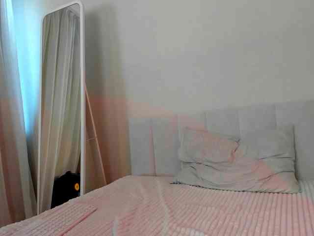 Black-Dollar webcam