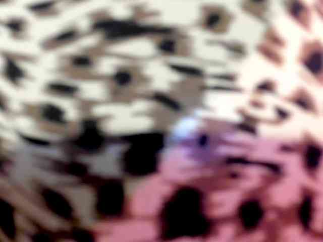 Black-Dollar webcam