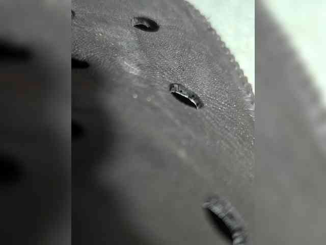 Egorar