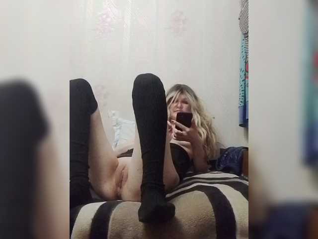 Kolibrii live cam preview
