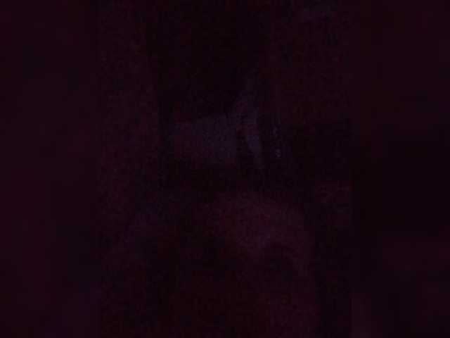 Kolibrii live cam preview