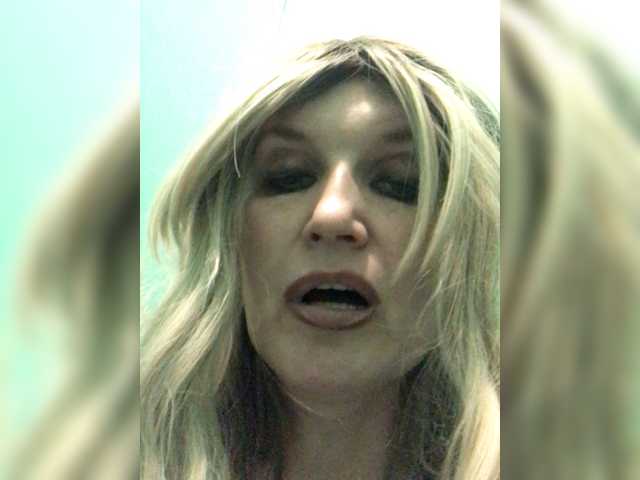 Kolibrii live cam preview