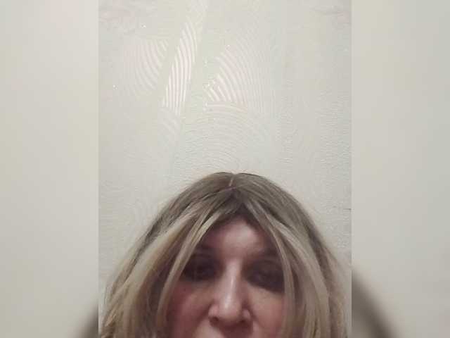 Kolibrii live cam preview