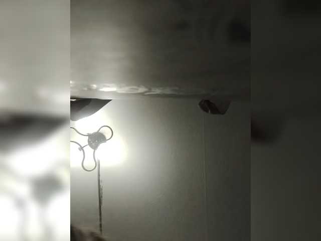 Kolibrii live cam preview