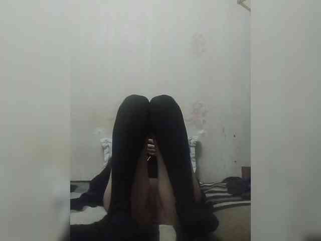 Kolibrii webcam