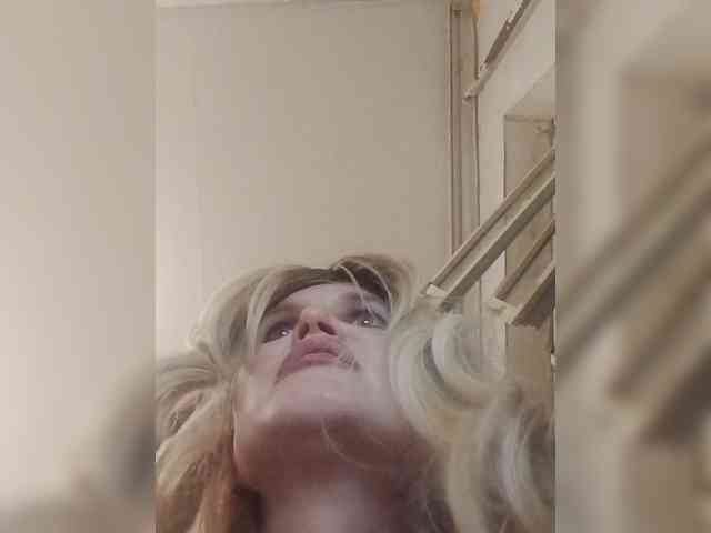 Kolibrii webcam
