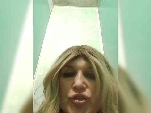 Kolibrii webcam