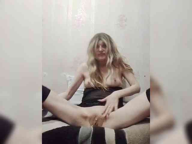Kolibrii webcam