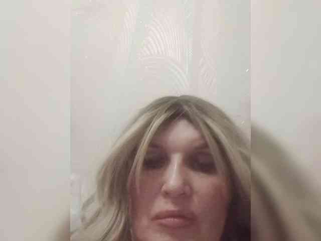 Kolibrii webcam