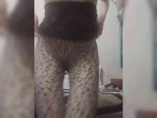 Kolibrii webcam