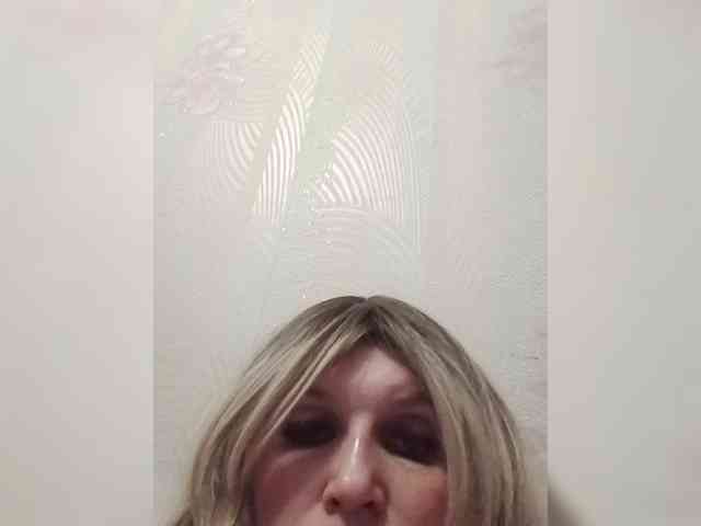 Kolibrii webcam