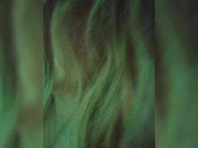 Kolibrii webcam