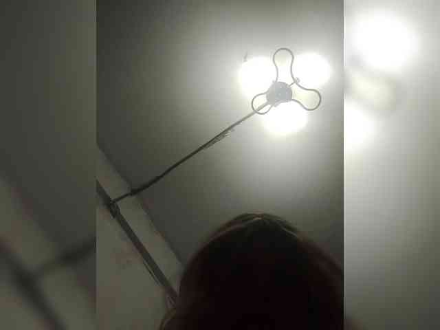Kolibrii webcam