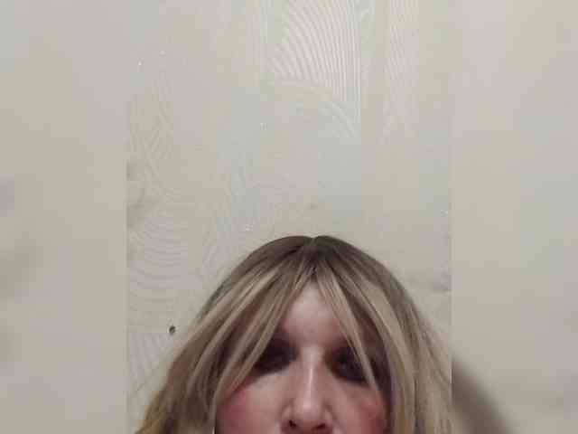 Kolibrii webcam