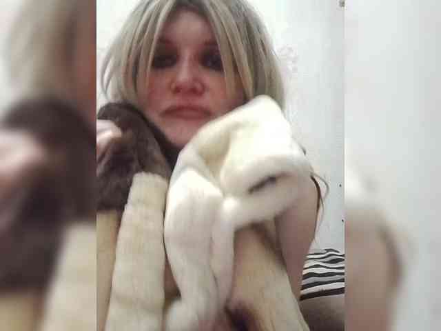 Kolibrii webcam