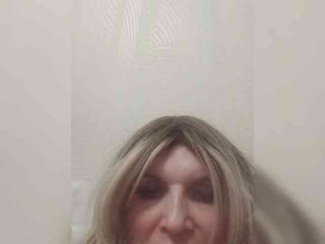 Kolibrii webcam