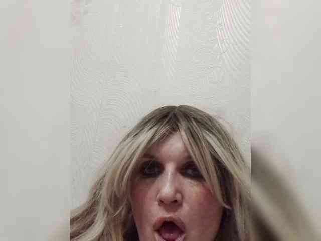 Kolibrii webcam