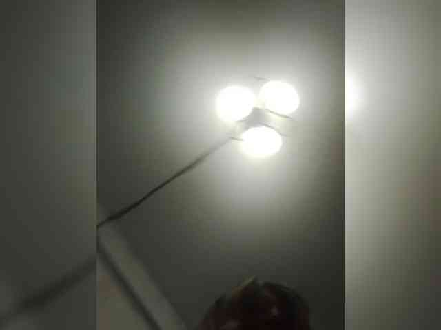 Kolibrii webcam