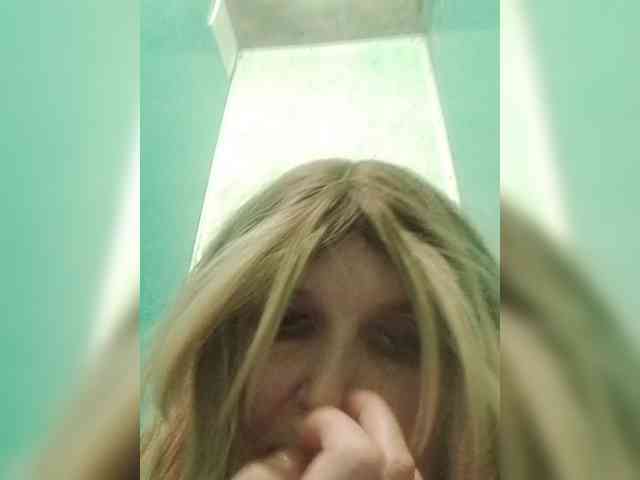 Kolibrii webcam