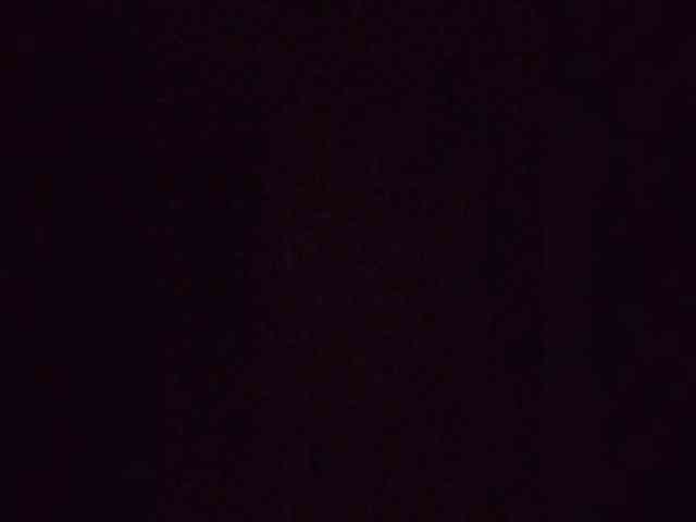 Kolibrii webcam