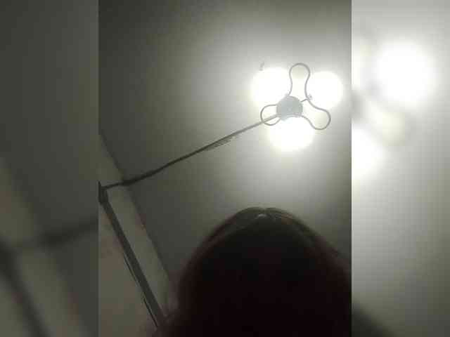 Kolibrii webcam