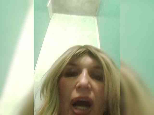 Kolibrii webcam