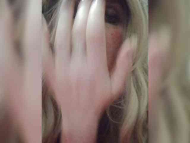 Kolibrii webcam