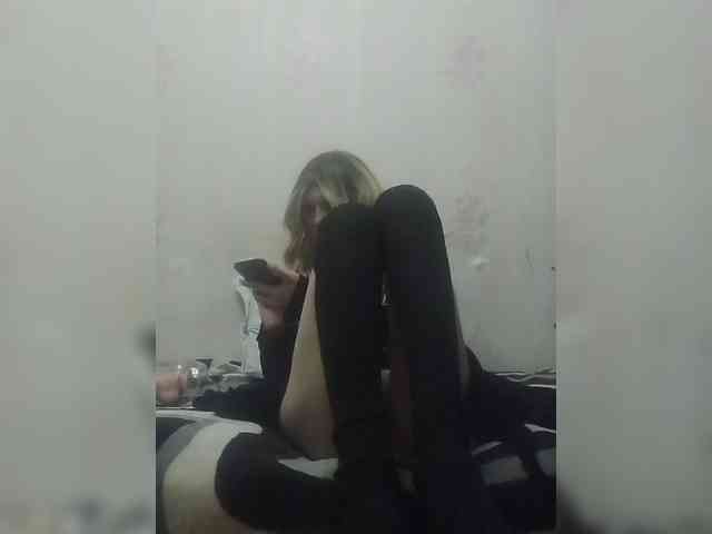 Kolibrii webcam