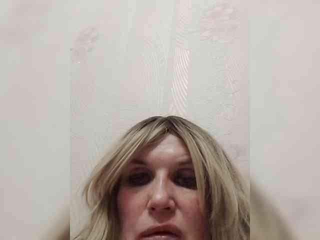Kolibrii webcam