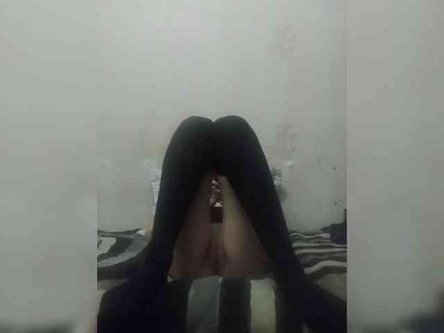 Kolibrii webcam