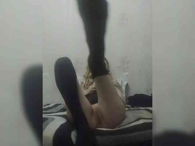 Kolibrii webcam