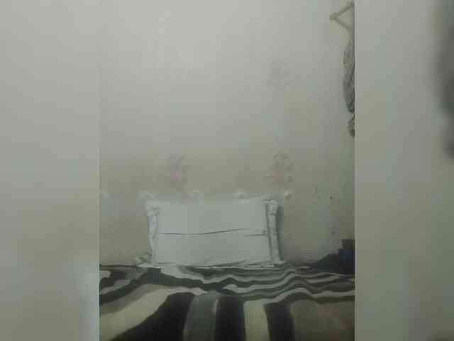 Kolibrii webcam