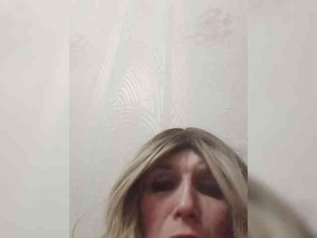 Kolibrii webcam
