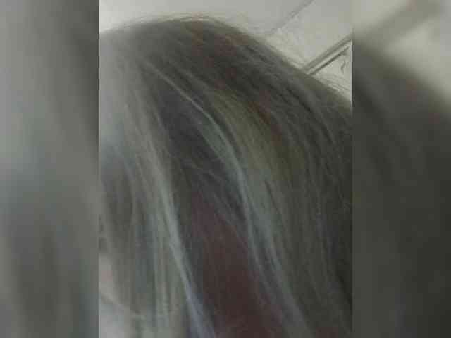 Kolibrii webcam