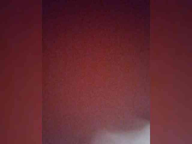 Kolibrii webcam
