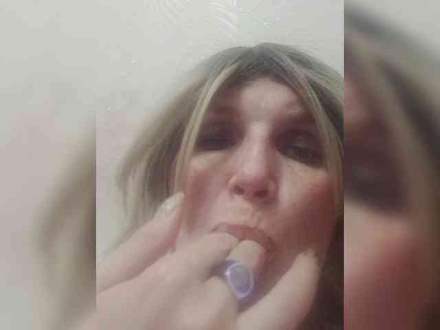 Kolibrii webcam