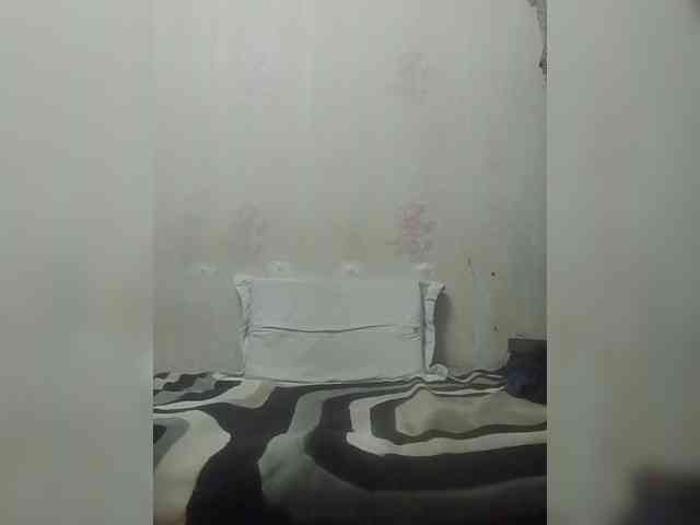 Kolibrii webcam