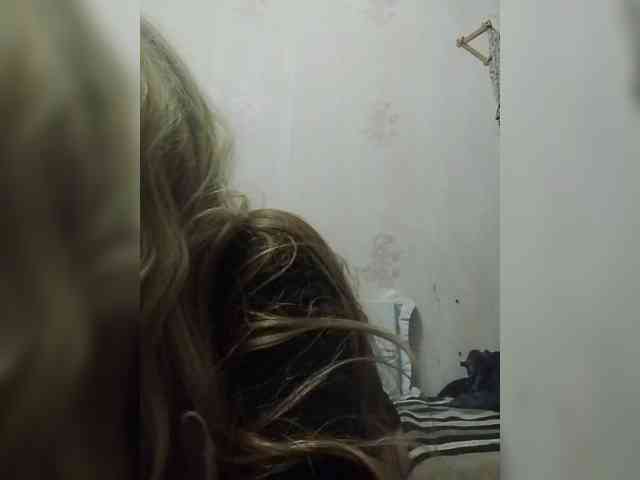 Kolibrii webcam
