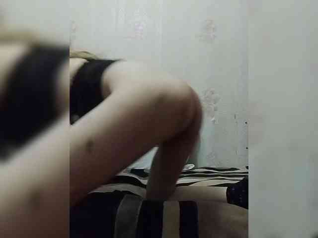 Kolibrii webcam