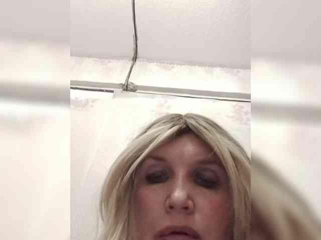 Kolibrii webcam